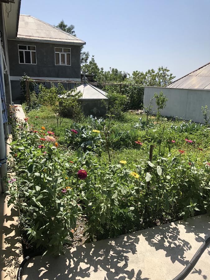 Shaki Host House Bed & Breakfast Şǝki Dış mekan fotoğraf