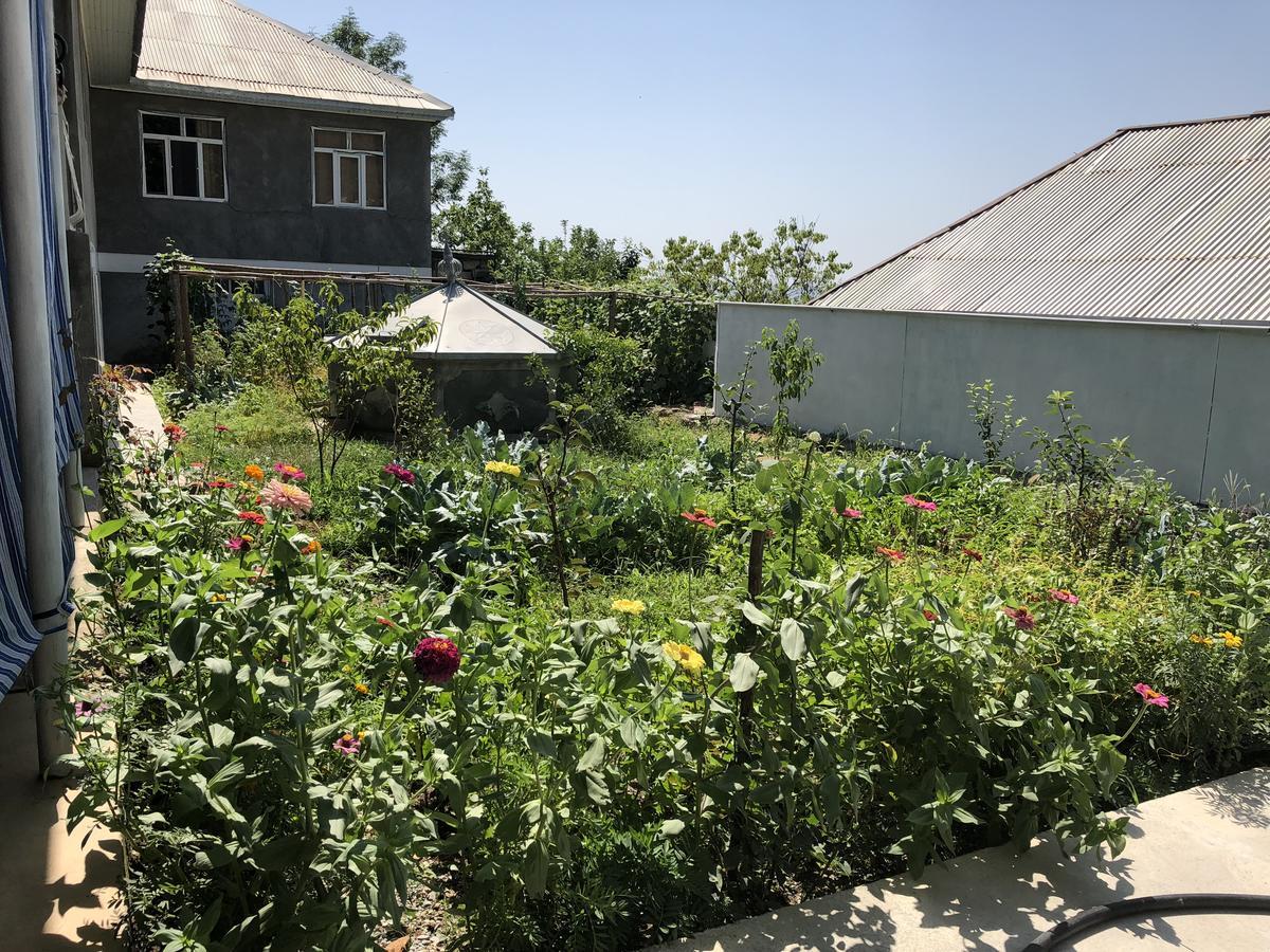 Shaki Host House Bed & Breakfast Şǝki Dış mekan fotoğraf